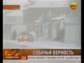 Якутский Хатико. Удивительная история собачьей любви