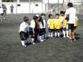 videos de Tomas Fuente P