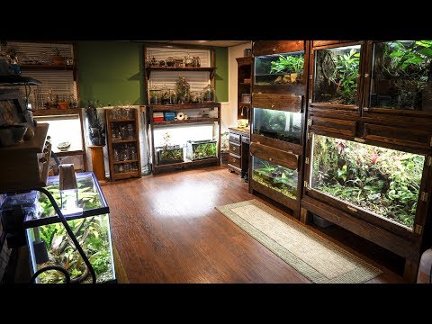 YouTube reptile video