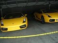 5 2009 Lamborghini LP560-4s in Miami (green orange black etc.) 5 2009 Lamborghini LP560-4s in Miami (green orange black etc.)