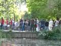 videos de Drummers at Vondelpark in Amsterdam 2