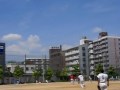 2010 07 25NK野D03