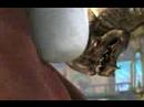 The Legend Lives Final Fantasy X The Legend Lives Final Fantasy X