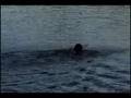 Thoreau & Walden Pond
