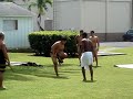 Hakamoa - chicken fight - hawaiian makahiki - sport