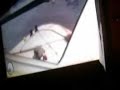 Bug sur un helicopter dan GTA IV