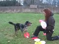 P-Vybe Rookie Jam
