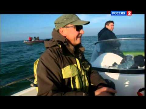 сезоны рыбалки на черном море сезоны рыбалки на черном море