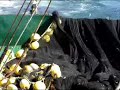 orka orka
