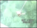 Dry Tortugas Jewfish