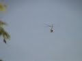 7-25-04 Terr Stalking - Robinson Helicopter @my home 7-25-04 Terr Stalking - Robinson Helicopter @my home