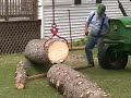 Trees Trees