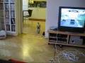 Melchior_fetch.wmv