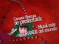 Camera Obscura Promo Mexico