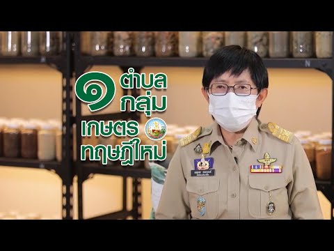 กรมพัฒนาที่ดิน-โครงการ 1 ตำบล 1 กลุ่มเกษตรทฤษฎีใหม่ (TALK)