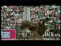 RODEIO DE TOUROS INTERNACIONAL-USA-