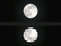Nik Fish - Dark Moon