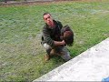Il falconiere di Codana 2
