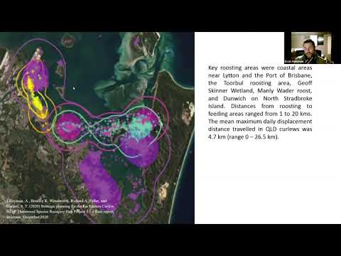 <p>Local Level Governance for the Conservation of Migratory Shorebirds: A Study of Two Queensland Ramsar Sites</p>
 video thumbnail