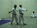 2008 sdi seminar highlights part 2