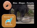 Royal Canin Commercial - Labrador Retriever 30 (infomercial)