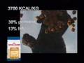 Royal Canin Commercial - Labrador Retriever 30 (infomercial)