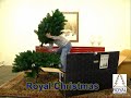 5 Minuten weihnachtsbaum Colorado aufbau