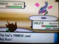 Pokemon Diamond/Pearl WiFi battle 3: Conmon (hack battle)