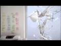 Berthold's Grotesk Akzident (Printer Destruction)