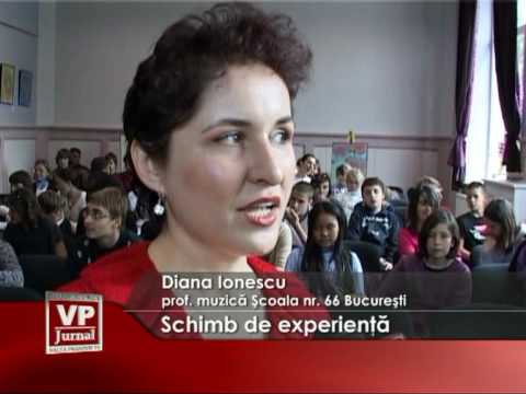Schimb de experienţă