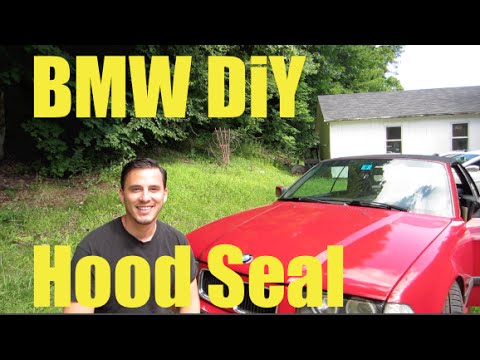 BMW Hood Seal Replacement  MillerTimeBMW DIY 16