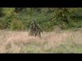 Episode 1 - That Bush Man - In a park