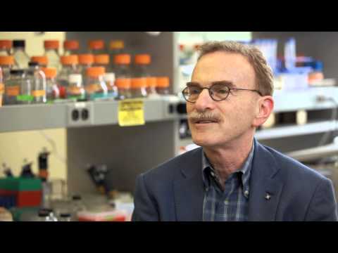 nobel laureate - Nobel Prize winner Randy Schekman in conversation with Stuart Wolpert on his time at UCLA, the importance of public education and how he intends to use the p...