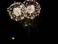 Disneyland Fireworks