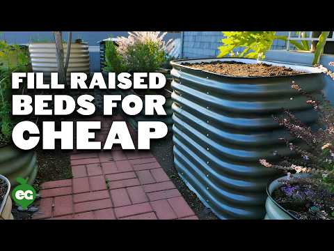 video-linktoworks-How to Fill a Raised Bed and Save 60% on Soil Costs