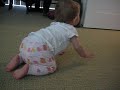 Baby Katie Crawls Baby Katie Crawls
