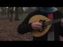 Stephen Hiscox - Coloured Leaves