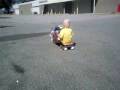big rigs wa r/c will,s truck and 2 dogs with son onboard