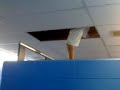 Blagg climbing through the roof in school