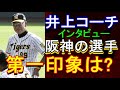 阪神 井上打撃コーチインタビュー 2019年11月18日