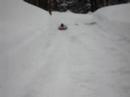 Zander & Les Sledding