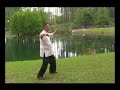 david chin tai chi sin tien wu chi