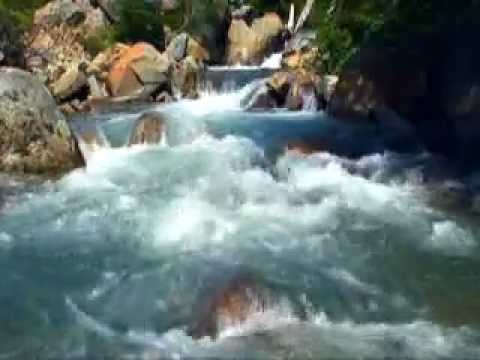 Ninindi Johnstone\'s Water of Life
