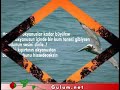 numan hadi =sonbahar gelmediki