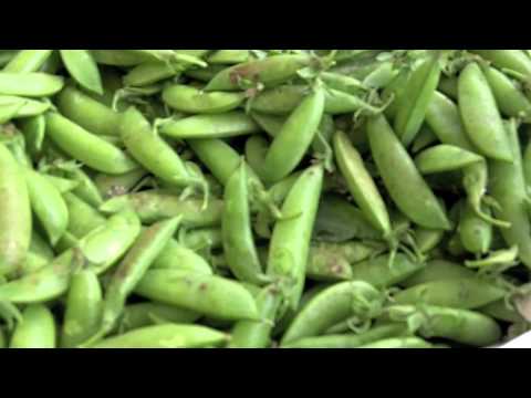 how to cook sugar snap peas in a pod