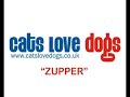 CATS LOVE DOGS - ZUPPER (Radio Edit) - (audio only) CATS LOVE DOGS - ZUPPER (Radio Edit) - (audio only)