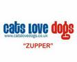 Videoclipuri - CATS LOVE DOGS - ZUPPER