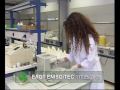 Polyeco Waste Management - Διαχείριση Αποβλήτων Video