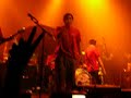Zebrahead (with Pierre ans Seb from Simple Plan) - \"Wasted\"  (live in Zurich, Switzerland)
