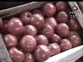tomate.flv